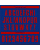 Best Pro Custom Royal Red Sublimation Soccer Uniform Jersey