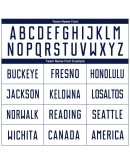 Best Pro Custom White Navy Sublimation Soccer Uniform Jersey