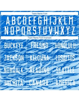 Best Pro Custom Royal White Sublimation Soccer Uniform Jersey