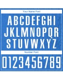 Best Pro Custom Light Blue White Sublimation Soccer Uniform Jersey