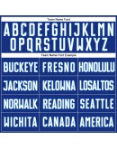 Best Pro Custom Royal White-Gray Sublimation Split Fashion Soccer Uniform Jersey