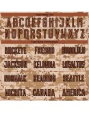 Best Pro Custom Camo Texas Orange-Brown Sublimation Salute To Service Soccer Uniform Jersey