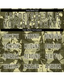 Best Pro Custom Camo Olive-White Sublimation Salute To Service Soccer Uniform Jersey