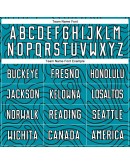 Best Pro Custom Teal White-Black Green Sublimation Soccer Uniform Jersey